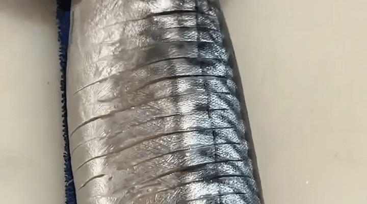 Tradition genießen: Die verborgene Köstlichkeit von Saba Bo Sushi