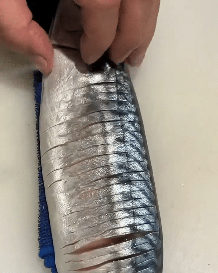 Savoring Tradition: The Hidden Delight of Saba Bo Sushi